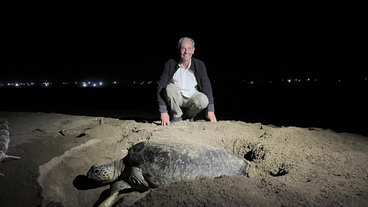 Sea Turtle Conservation | Merubetiri National Park Tour in 2 Days 1 Night - Image 1